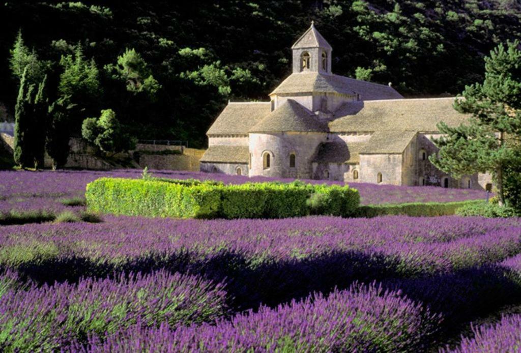 Au Bastidon De Gordes Villa Buitenkant foto